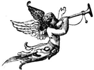 nicolas karagiannis ADPNC, ADP Nuances Chromatiques, association, arts plastiques, projet, école d'art, ateliers, peinture, dessin, Bollène, Paul-Trois-Châteaux, Vaucluse, Drôme, art, artiste, exposition